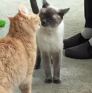 Meet your Posher, Deana